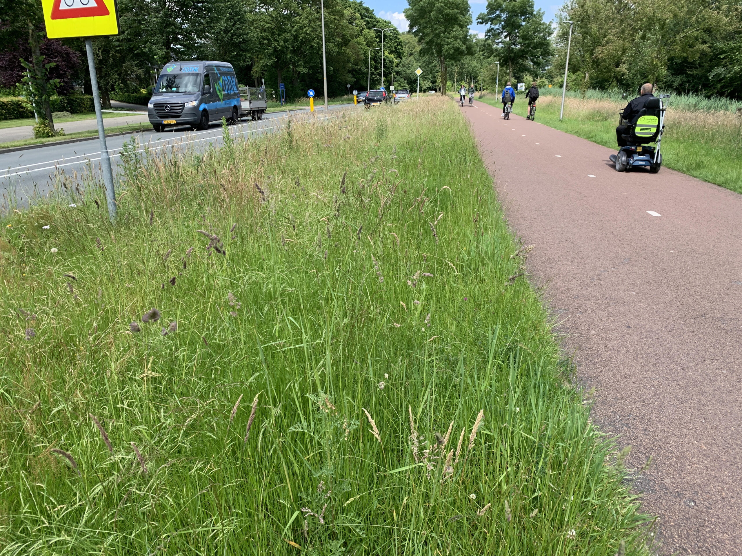 De “treurige berm”-verkiezing