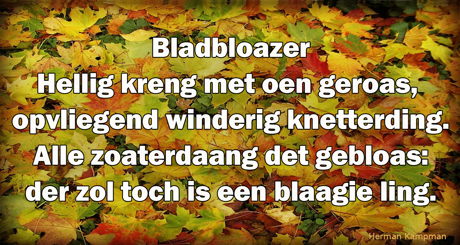 Bladbloazer