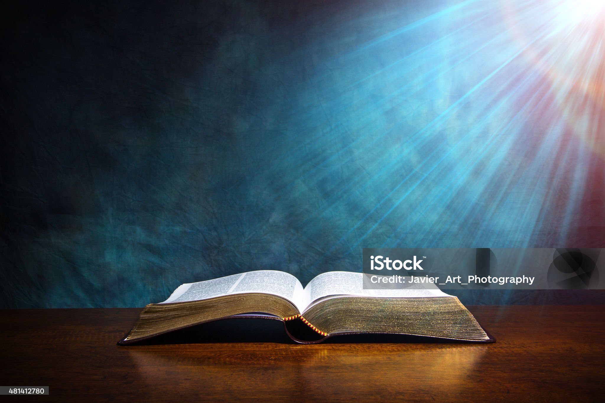 Nieuw project: Lees de bijbel in één jaar