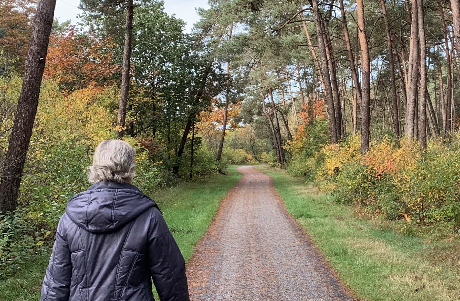 Geen opwaardering Goudzoekerspad naar F35-pad