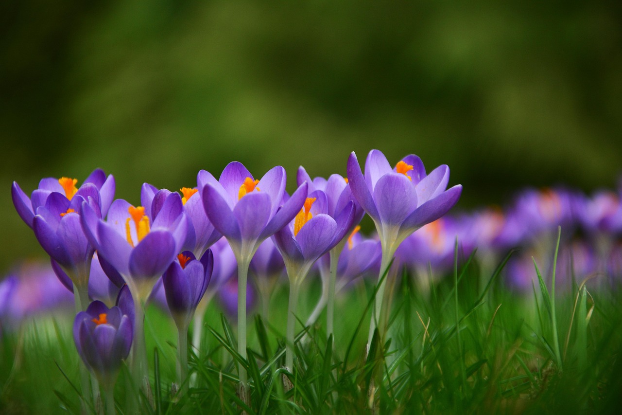 Het is lente en er komen verkiezingen aan