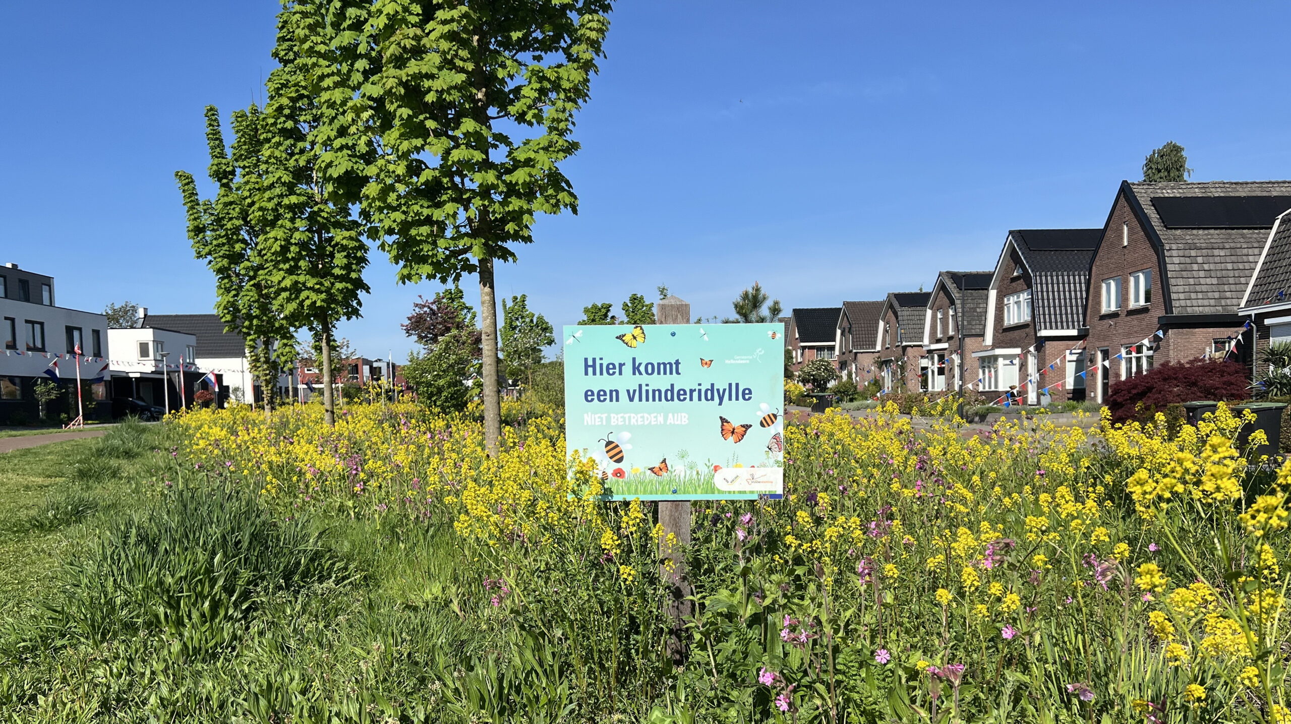 Gemeente investeert in openbaar groen