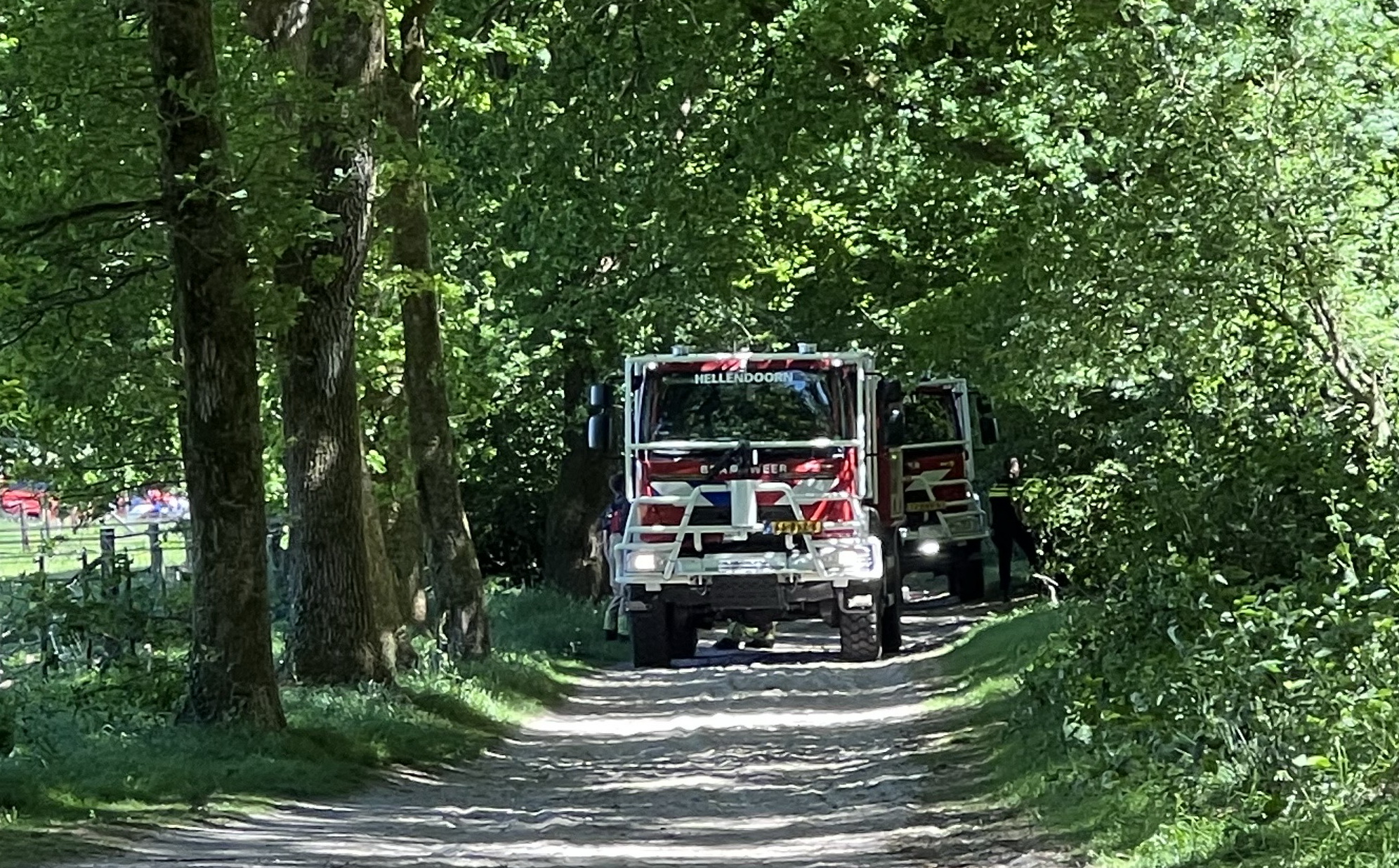 Bosdbrandje snel onder controle