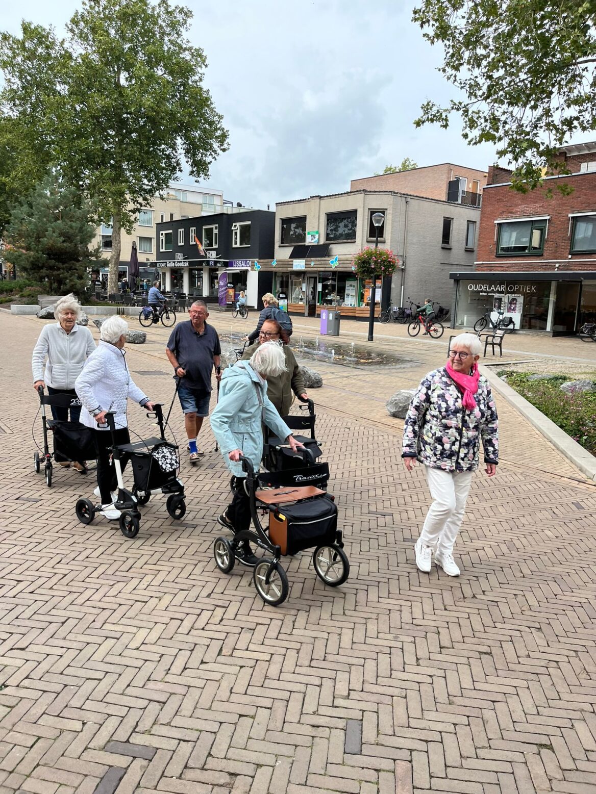 Toegankelijke wandeling voor iedereen die in beweging wil blijven