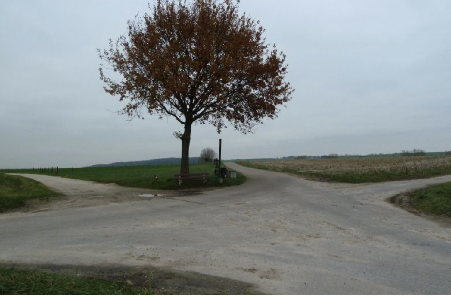 Bewust dwalen in een tijd van onzekerheid en angst