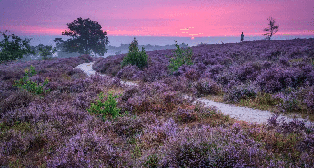 Een zomeravond op de Sprengenberg met muziek van Simon & Garfunkel