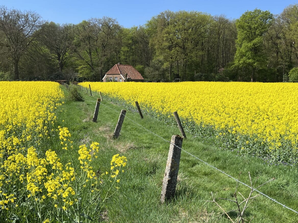 Gemeenten gaan buitengebied ‘inventariseren’