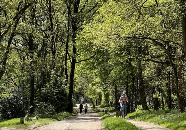 Gemeenteraad praat over Hellendoorn in 2040