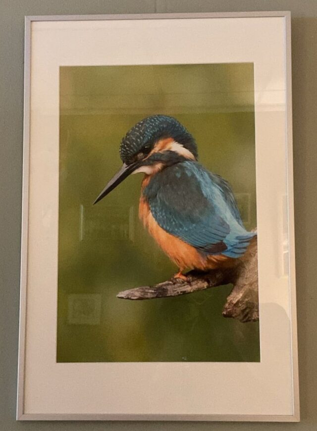 NIEUWE EXPOSITIE in DE HUISKAMER