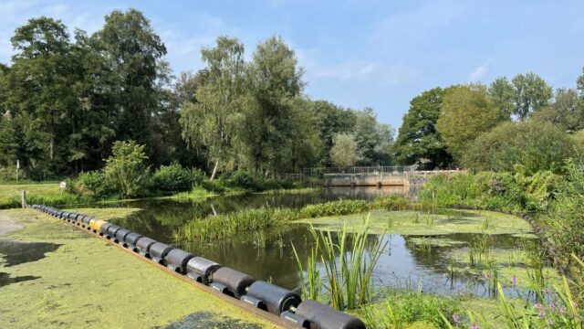 Baggeren Overijssels Kanaal en de Regge bij Hancate