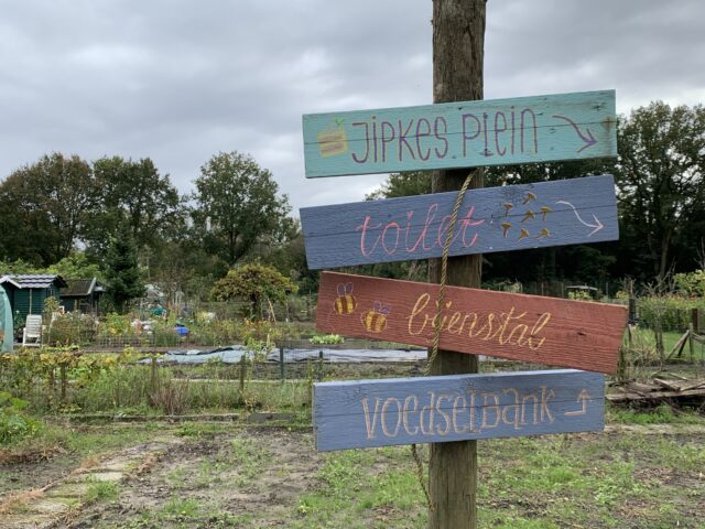 Zaterdagmorgen op de Jipkesbelt; de kolibrievlinder