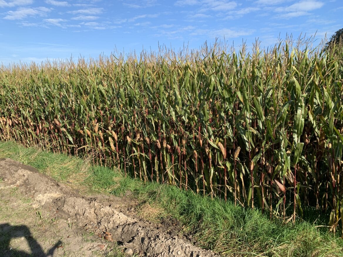 Agrarisch belang gaat schuren met andere belangen in toekomstvisie van Hellendoorn