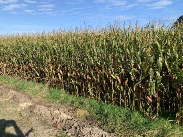 Agrarisch belang gaat schuren met andere belangen in toekomstvisie van Hellendoorn