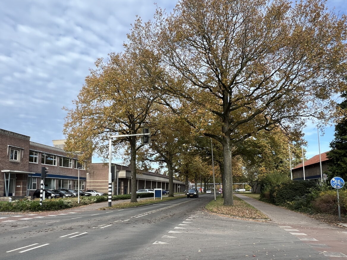 Van der Muelenweg Nijverdal blijft bestaan