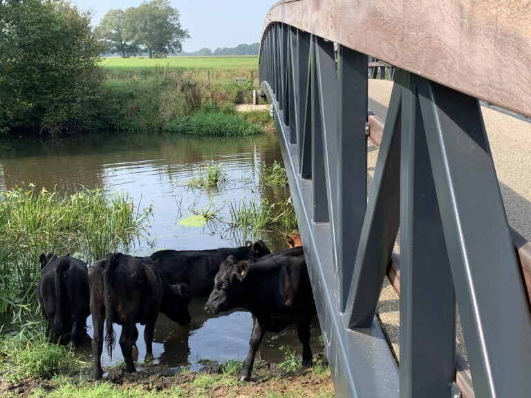 Buitengebied: wie zit wie in de weg
