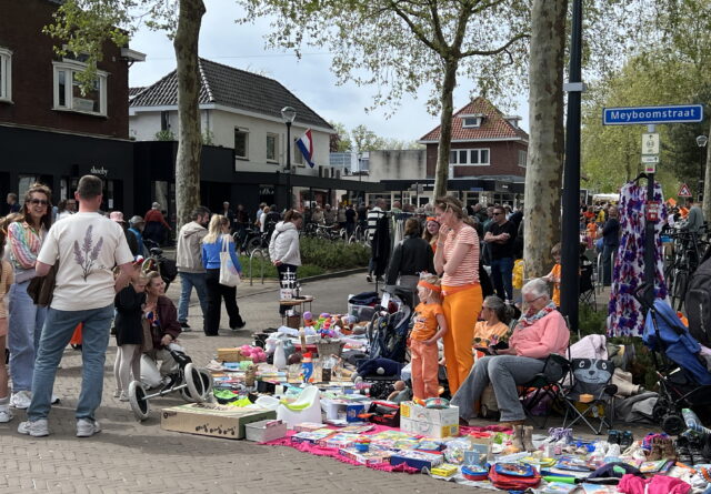 Leve de koning