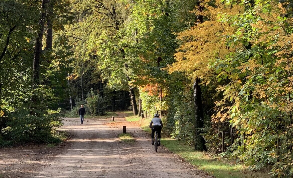Hellendoorn 2040: Gemeente is ‘klaar’ met natuur en recreatie