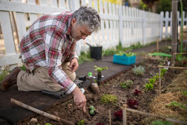 Gratis workshop op weg naar een groenere tuin