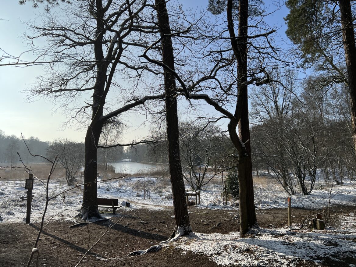 Vennekearls ongerust over toekomst Nijverdalse Gagelmansveen