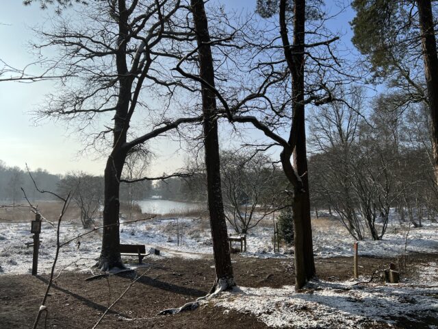 Vennekearls ongerust over toekomst Nijverdalse Gagelmansveen