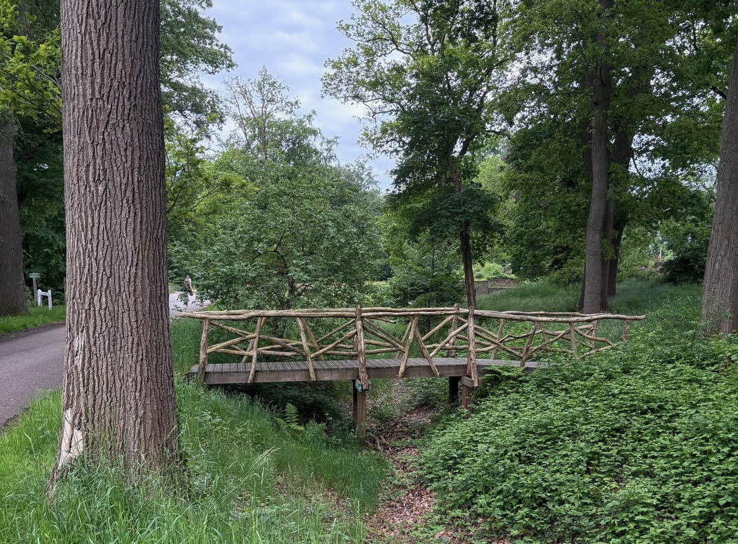 Pareltjes in Hellendoorn (1): Het Eversbergbos