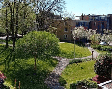 Het verhaal van een ontwakend park aan de Molenweg