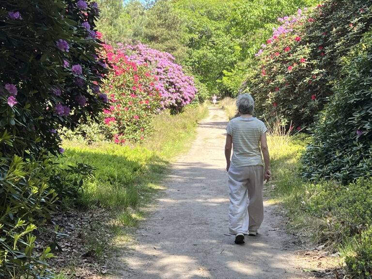 De groeten van meneer Alzheimer (2): Een nieuwe vriend